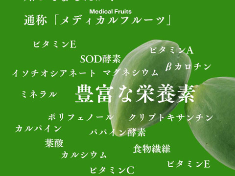 ＼青パパイヤの丸ごとおやつ／宮崎青パパイヤのひんやりピール 50g