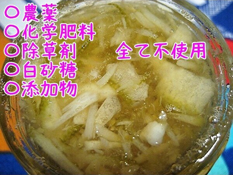 ハンドメイド『レモンマーマレード』【無添加・白砂糖不使用】200cc