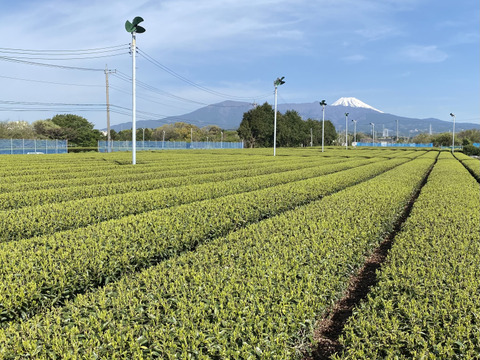 【農家直送】『中級煎茶』100g 静岡沼津産 豊かな香りで美味しい