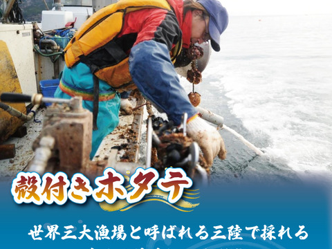 【活】特Lサイズ殻付ホタテ20枚（殻長12cm以上）｜岩手県三陸産