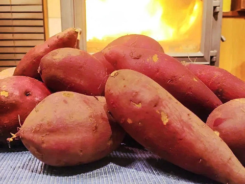 焼き芋にぴったりあま～いサツマイモ５キロ
