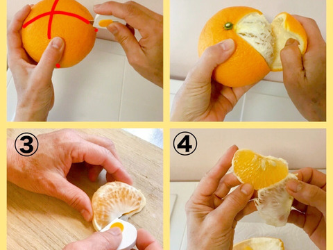 【残りわずか】農薬不使用甘夏・訳ありお得箱10kg♪