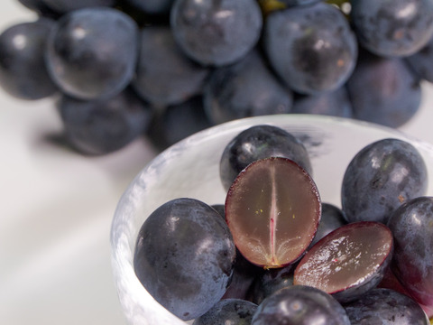 甘くてコクのあるナガノパープル 2〜3房 長野県産 皮ごと食べれる 種無しぶどう #ネオニコフリー