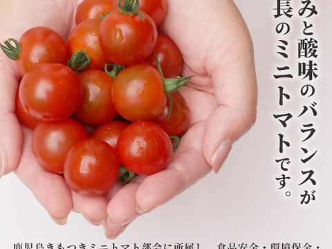 味の正統派！【小鈴】1K