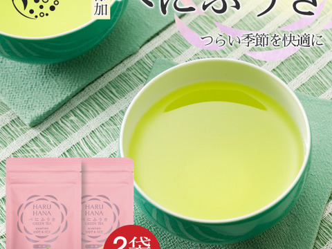 【メール便・2袋】HARUHANAべにふうき 粉末緑茶 50g 静岡牧之原