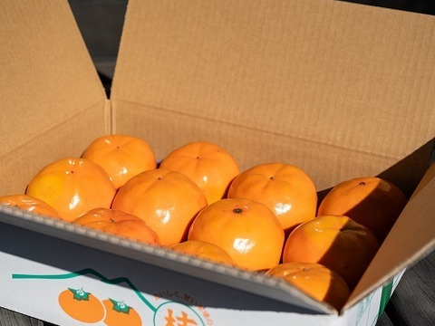 柿の王道、甘い「富有柿」１０個～１４個３.5㎏