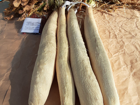 たくあん用干し大根　4本