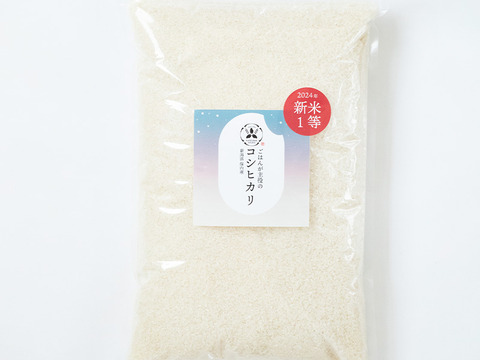 【定期便】2024年 新潟県保内産コシヒカリ1等 （4.8kg×3ヶ月）