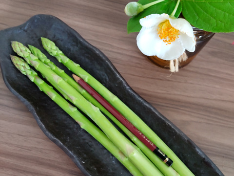 【Lサイズ】夏芽ジューシー柔らかアスパラガス！長野県産（1kg）