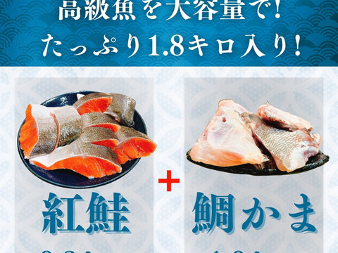 【紅鮭 切り身 約0.8キロ】＆【沼津 鯛 カマ 約1キロ】 セット 合計1.8kg