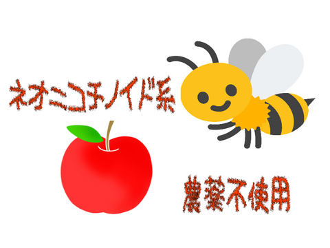 長野県認証栽培の蜜りんごサンふじ5ｋｇ