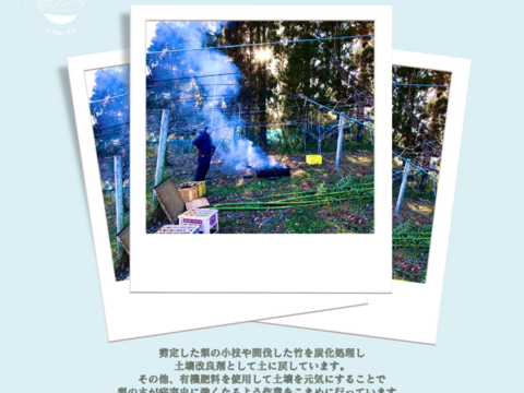 【希少】甘熟☆鴨梨（ヤーリー）別名-香り梨　3kg 　届いてすぐに召し上がれる甘熟をお届け＊庄内甘熟梨