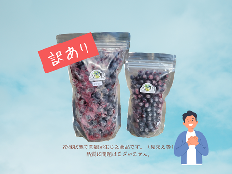【訳あり】農薬不使用！2025そのまま冷凍ブルーベリー(700g+250g)