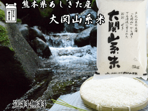 米　ヒノヒカリ　精米済み 七城米 5kg 令和6年産 九州 熊本県産 ひのひかり ヒノヒカリ 特A