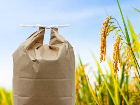 あきたこまち 【白米】新米 R7年度産  27～29kg 特Aランク産地・秋田県湯沢市産 食味ランキングで高評価を得る特A地区