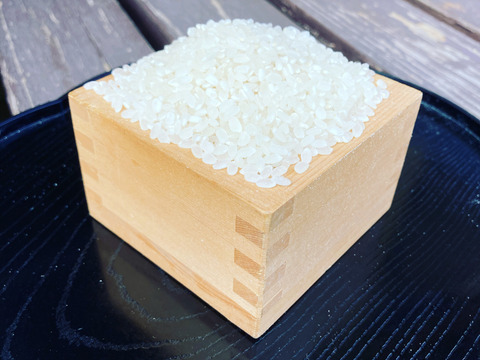 【R3年新米10kg】冷めても美味!特A受賞米はるみ(精米歩合選択可)