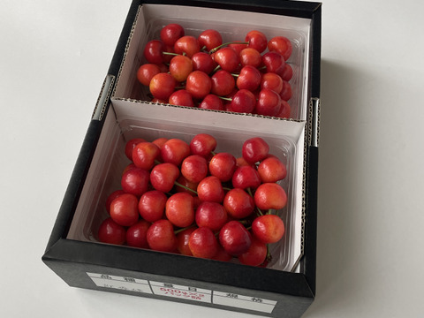 【紅秀峰】🍒１キロ🍒【Ｌサイズ以上】【お中元にもどうぞ】【さくらんぼ】【父の日ギフト】
