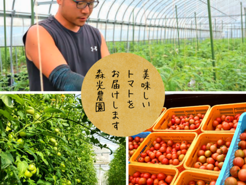 《飲食店様向き》温泉成分の地下水で栽培! 昔懐かしい味わいの 「鹿野高原トマト」(3kg・バラ)