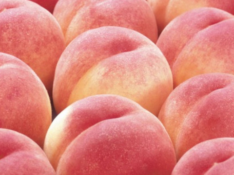 【 🍑お楽しみボックス🍑 】【 訳あり 】【 3000件突破‼️大人気‼️お試しに 】山形県天童産 桃 2.0k 【 果肉ジューシー 】さくらんぼとご一緒に！