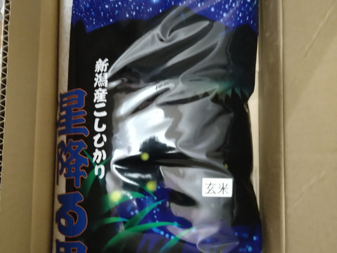 コシヒカリ 米 令和6年 お米 玄米 10kg 送料無料 新潟県佐渡産天