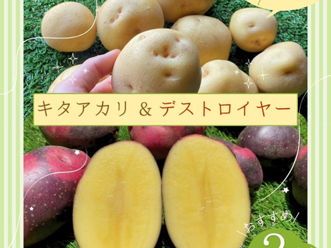 じゃがいも食べ比べ【きたあかり&デストロイヤー】各900ｇ
