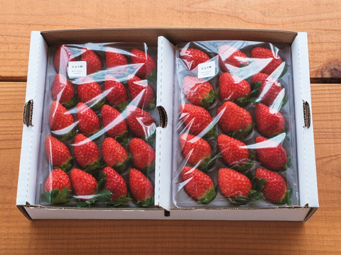 甘くてジューシー！やよいひめ2P お得なご家庭用！（230g×2p）