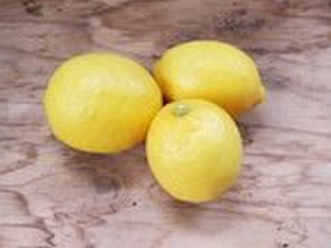 自然農法　レモン　２Kg
