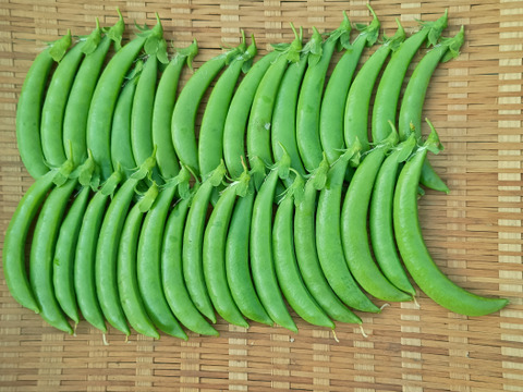 スナップエンドウ　200g