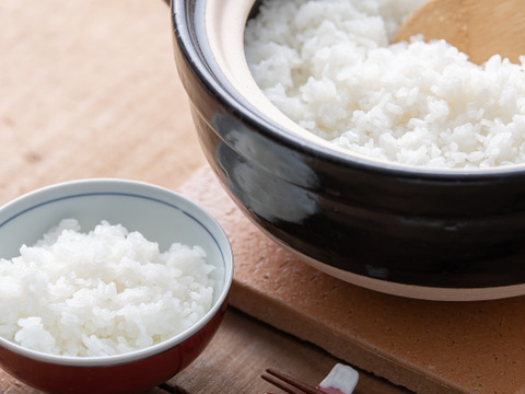 (訳あり)【白米20kg】在庫処分!業務用に出荷していたお米(ブレンド)