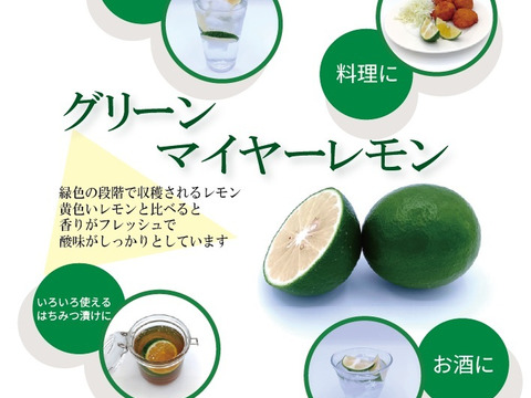 【お試しに】緑色のレモン『グリーン マイヤーレモン』【1.8kg】