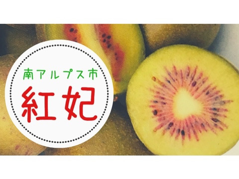 最終です【希少品種　紅妃 】とても甘〜い！赤いキウイフルーツ
【1.5キロ】