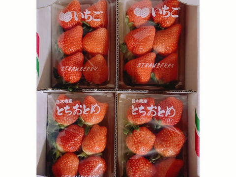 恋するおとめちゃんセット
完熟恋みのりととちおとめの食べ比べ
【いちご食べ比べ】