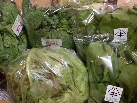 今夜限り
春のスペシャルセット
「菜の花」150gX4パック、「春のほうれん草」２００gX３パック
合計7パックで春をお届けします。
旬野菜１５００円詰合せセット　
旬野菜で食卓を飾って下さい