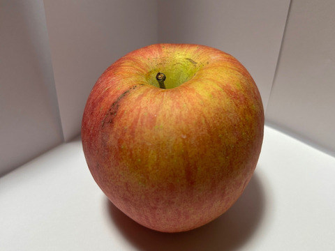 農家直送　家庭用サンふじりんご３kg（約９玉）