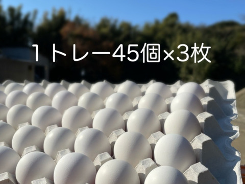 小さいだけの格外品‼　若鶏の白タマゴ×130個(^^)/