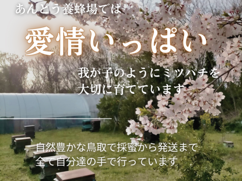 【添加物なし】天然はちみつ 600g 蜂蜜 ハチミツ セイヨウミツバチ 国産