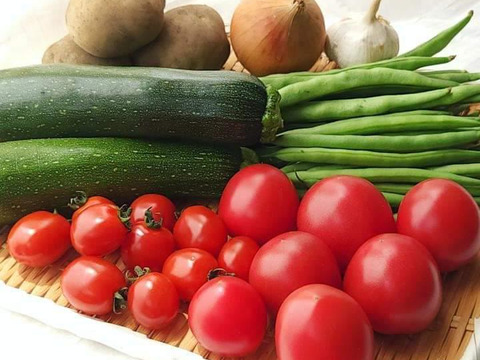 【お試し】自然栽培の手渡したくなるお任せ野菜SET（Sサイズ）