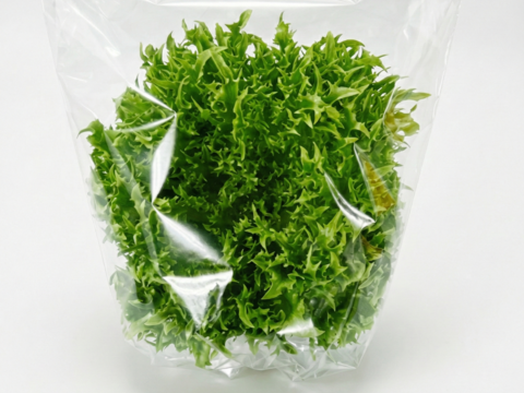 【農薬不使用】至宝のレタス 3種ミックス（1kg）硝酸態窒素最大90%カット！