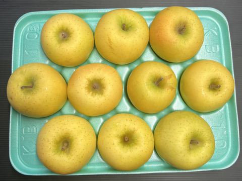 シナノゴールド 3kg 箱入り パリッと爽やか 酸味と甘みの絶妙なバランス  10個 貯蔵でパリパリ お中元 ギフト 誕生日 お祝い フルーツギフト