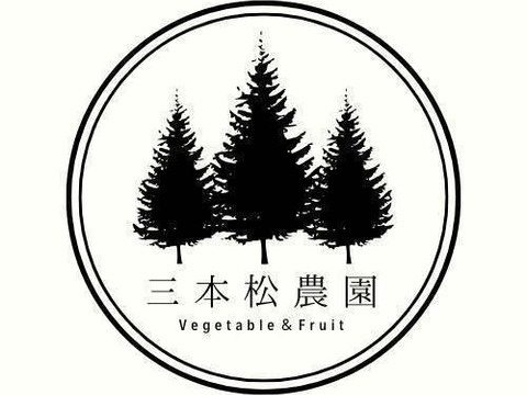 朝摘み　ブルーベリー　ラビットアイ系　６００ｇ（３００ｇｘ2ｐ）《生食・ジャム・スムージーに》　農薬不使用　【橋本ふるさと便】