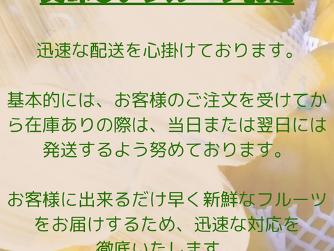 金メダルスイカ【1玉入り】ゴールド 家庭用から贈答可能 秋田県産 すいか フレッシュスイカ 夏の風物詩 ギフト お中元 夏丸 暑中見舞い 美味しい 甘い スイカ 糖度14 ゴールド