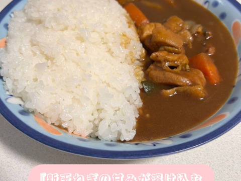 【訳あり玉ねぎ】不揃いだけど味は一級品！淡路島が誇る濃厚な旨味をご家庭で　５kg（サイズ混合）