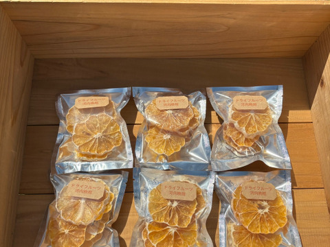 ドライフルーツ（河内晩柑）1パック（10g）×6個　砂糖不使用　河内晩柑は栽培期間中に農薬・化学肥料不使用