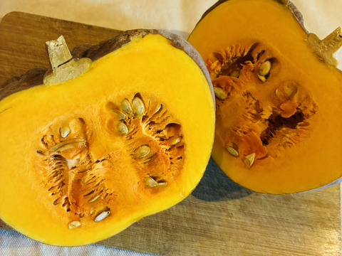 見た目も楽しめる！かぼちゃ詰め合わせセット3種＊固定種＊4.8kg