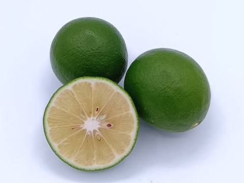 【お試しに】緑色のレモン『グリーン マイヤーレモン』【1.8kg】