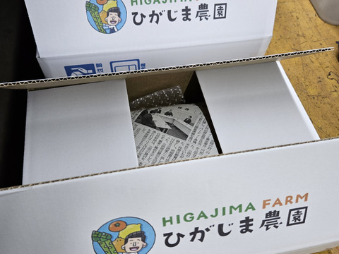 【紫＆緑食べ比べ】「アスパラガス」サイズミックス1kg