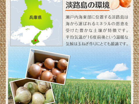 淡路島 新玉ねぎ 甘い 玉葱 10キロ
