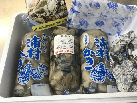 牡蠣好き歓喜の20%増量中！（500g）×3袋 【生牡蠣】【生食用】三重県産 浦村かき むき身 牡蠣 総重量1.5キロ
生で食べれる衛生的な牡蠣です。 お歳暮 熨斗 新年会 女子会 母の日ギフト