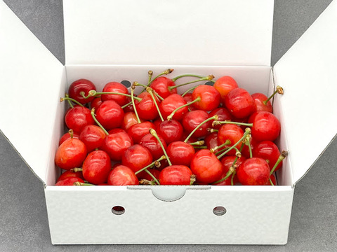 特別な大玉！さくらんぼ 3～4L バラ 約500g