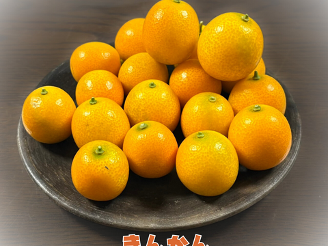 [送料500円引] 特盛フルーツセット8種